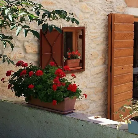 Rural Istrian Katarina On Relaxing Location *